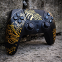 OWND PS5 Black/Gold Wave